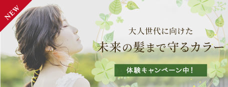 ヴィラロドラキャンペーン